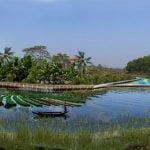 Visit the mimic of Bangladeshi coastal zone at the Climate Park