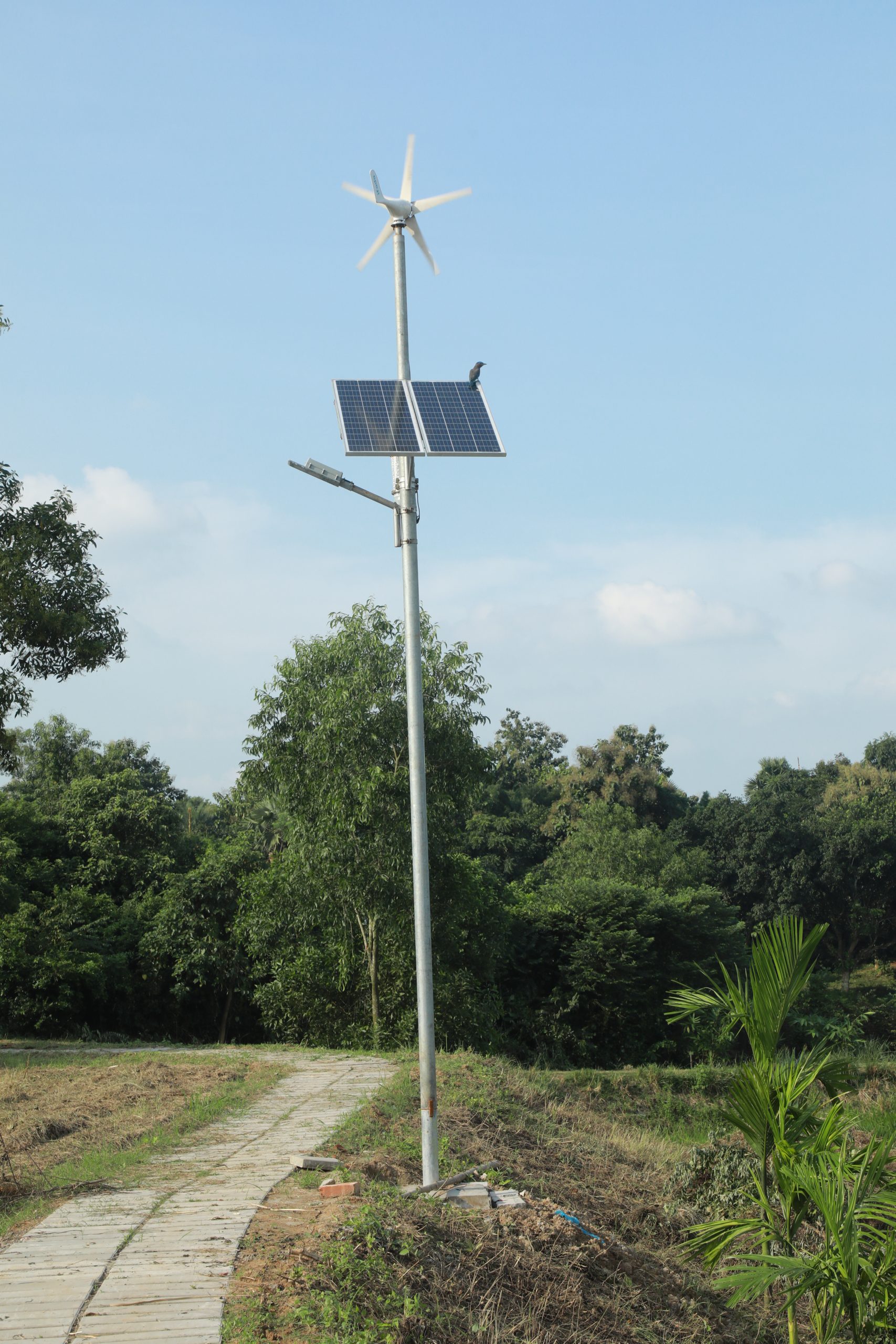 Wind Solar Hybrid Street Light