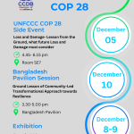 CCDB at COP 28